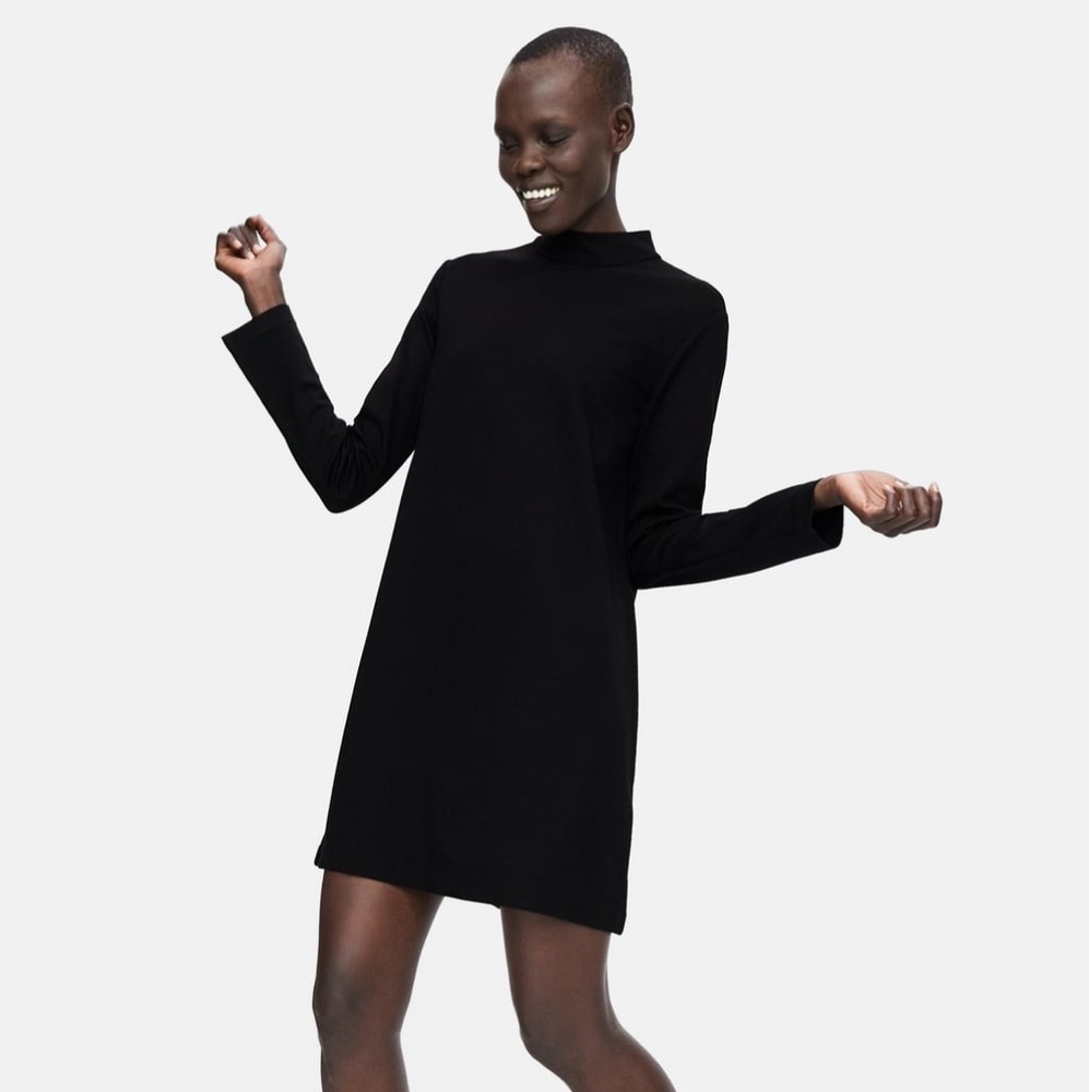 Zara Black Long Sleeve High Collar Dress